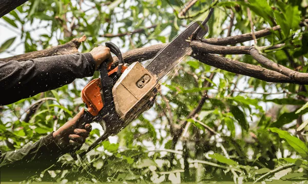 Priority Edge Landscaping