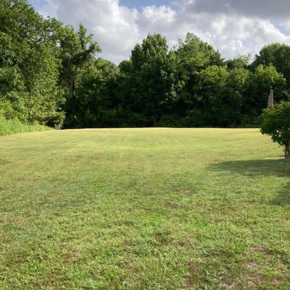 Reliable residential landscaping experts serving Grangerland, TX - Priority Home And Commercial