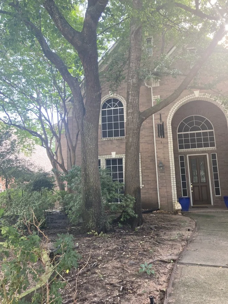 Professional garden landscaping experts serving Grangerland, TX - Priority Home And Commercial