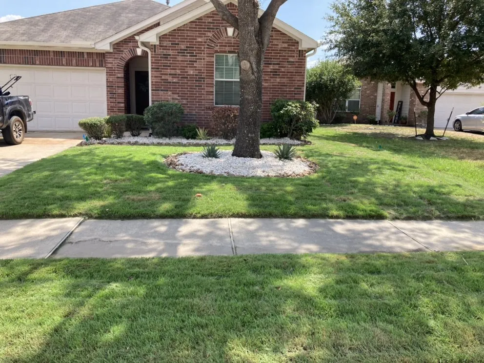 Reliable yard cleanup service in Grangerland, TX by Priority Home And Commercial