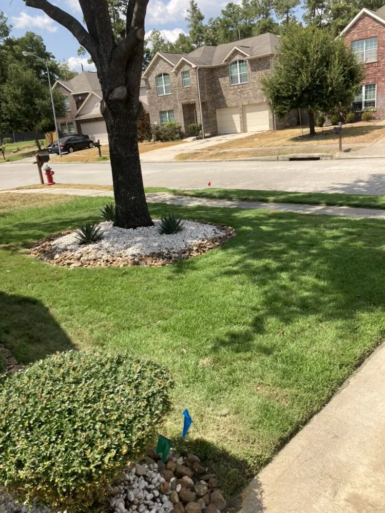 Custom yard maintenance for beautiful yards across Grangerland, TX - Priority Home And Commercial