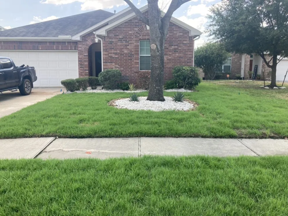 Professional landscaping services in Grangerland, TX by Priority Home And Commercial