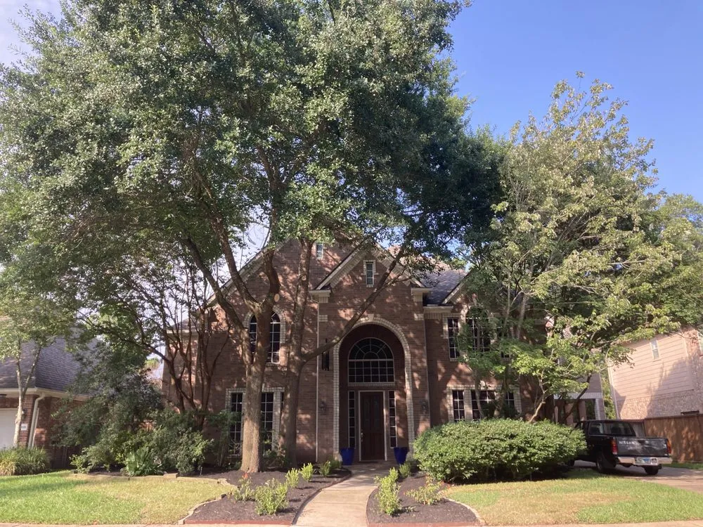 Top-rated yard cleanup service in Grangerland, TX by Priority Home And Commercial