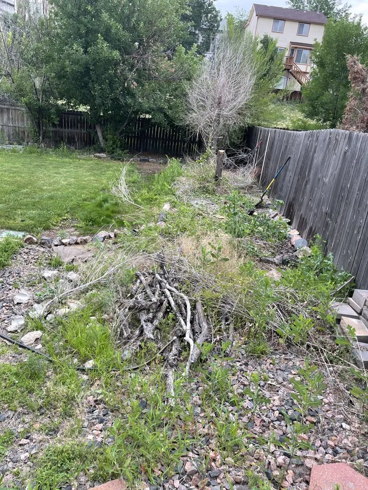 Expert garden landscaping for outdoor upgrades across Denver, CO - Priority Landscape & Maintenance