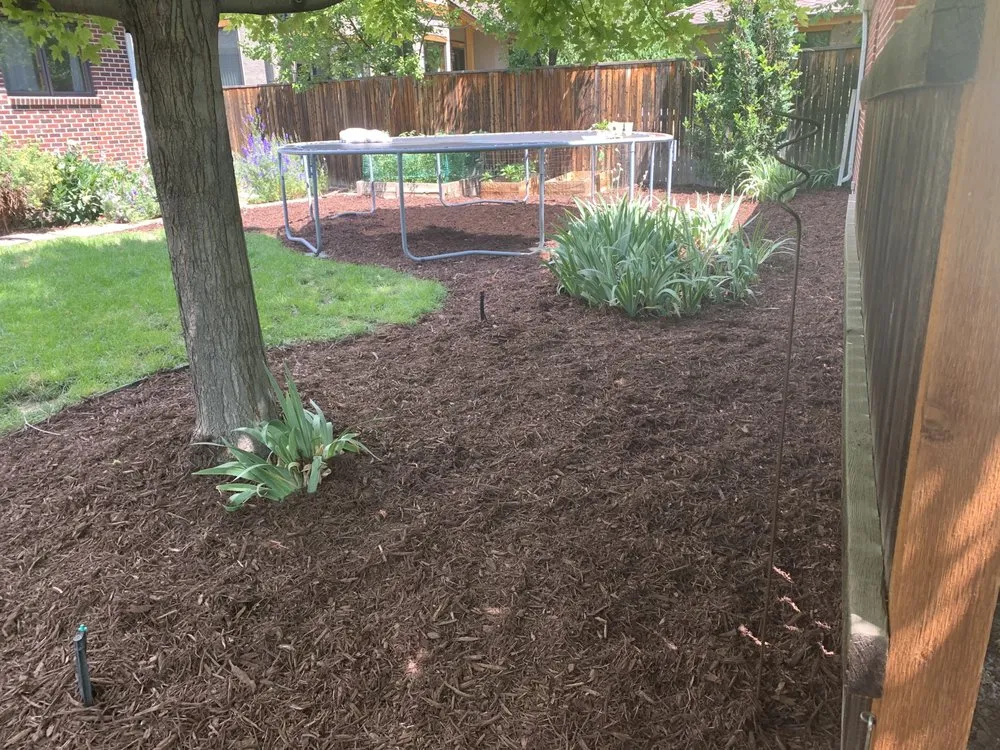 Local yard maintenance in Denver, CO by Priority Landscape & Maintenance