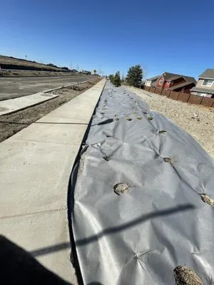 Priority Landscape & Maintenance Logo