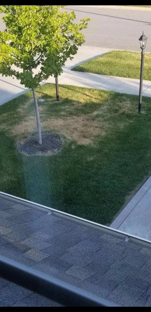 Expert lawn care service in Gary, IN by Priority Landscape & Maintenance