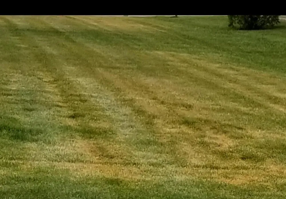 Professional landscaping services experts serving Gary, IN - Priority Landscape & Maintenance