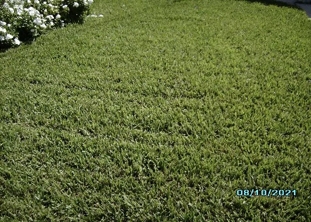 Affordable landscaping services in Riviera Beach, FL - Priority Landscape & Tree Trimming
