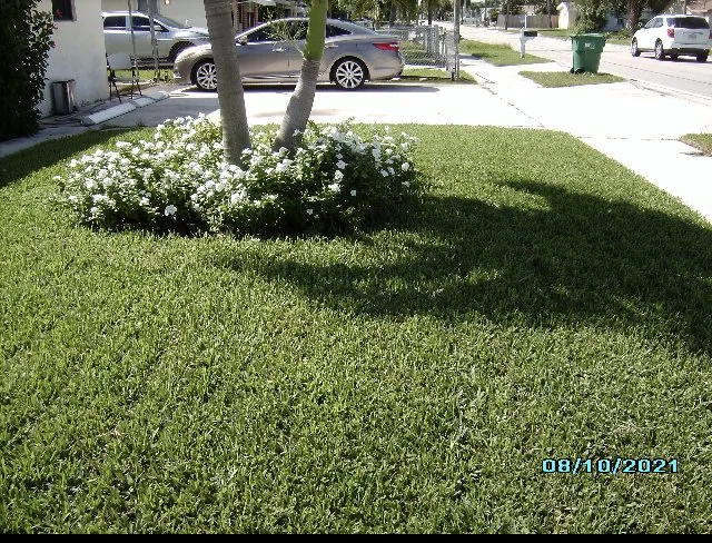 Expert landscaping services in Riviera Beach, FL - Priority Landscape & Tree Trimming