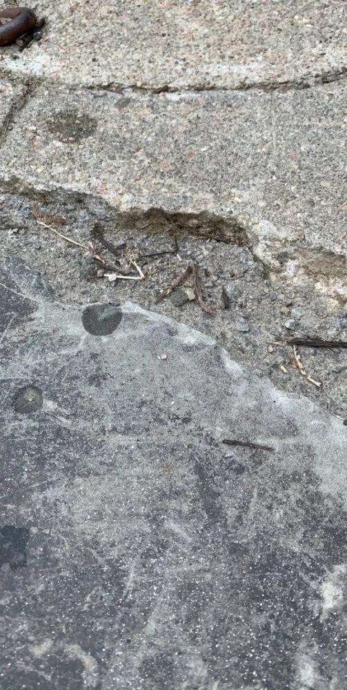 Custom yard maintenance in Omaha, NE - Priority Landscape Construction