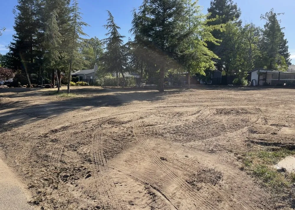 Trusted yard cleanup service near you in Roseville, CA by Priority Landscape Pros