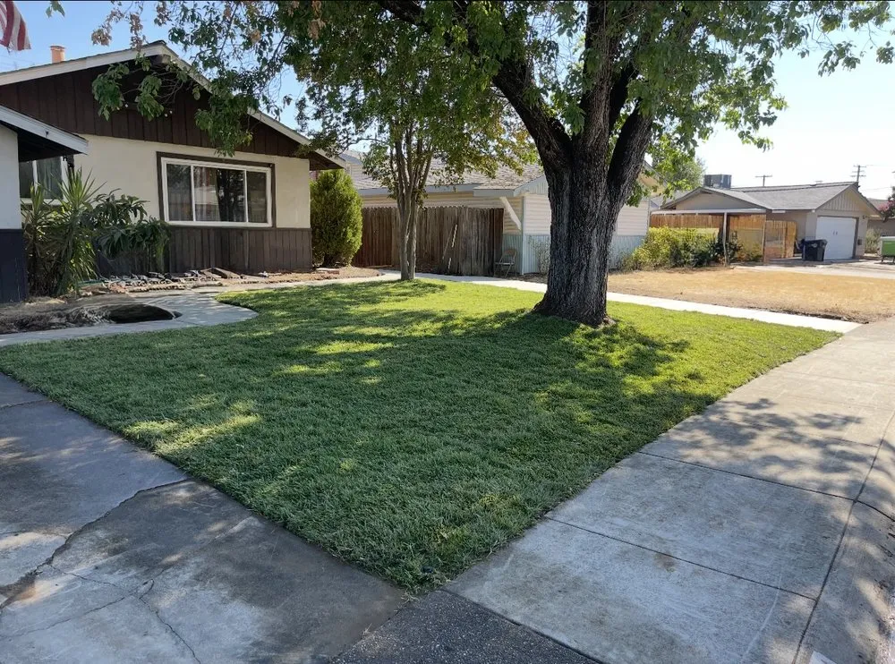 Top-rated yard cleanup service near you in Roseville, CA by Priority Landscape Pros