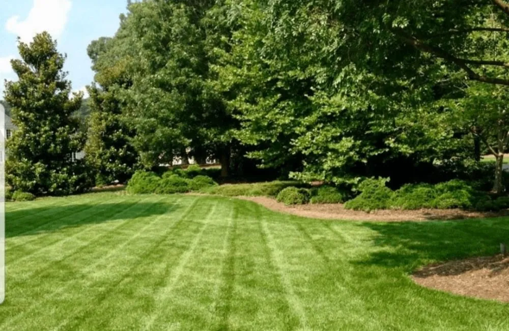 Professional yard cleanup service for homes across Chesapeake, VA - Priority Landscapes