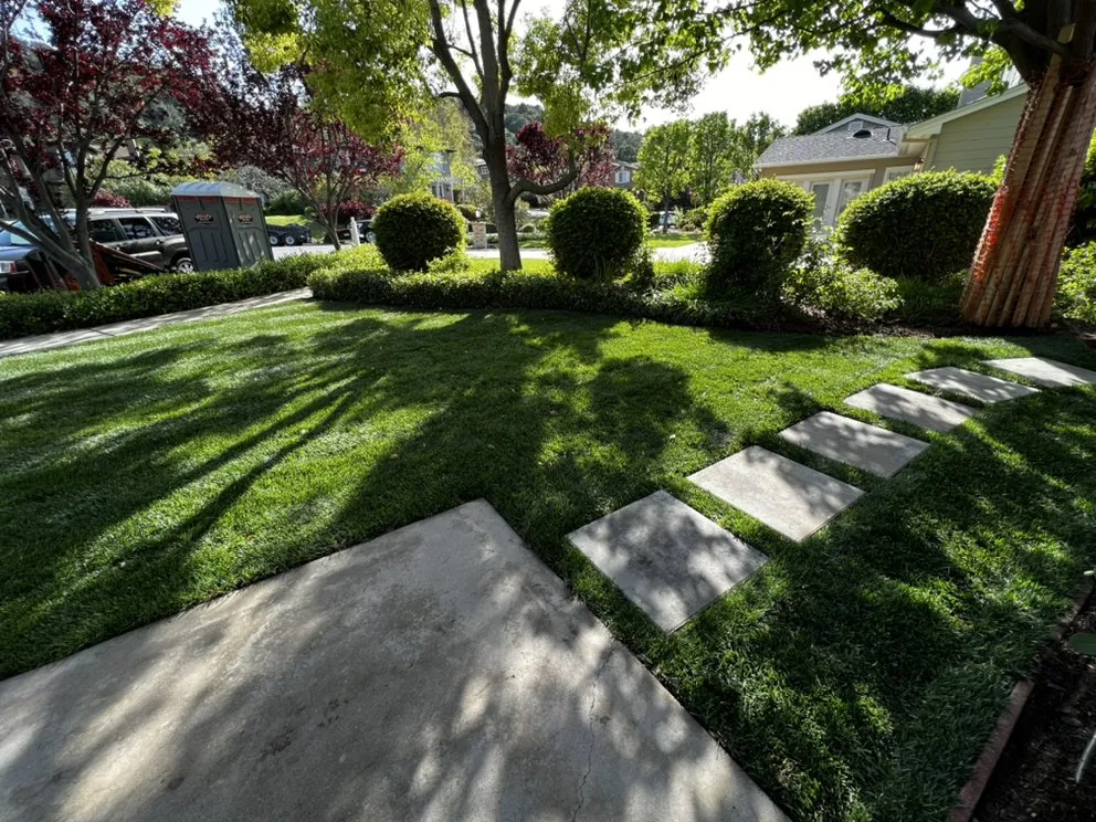 Expert residential landscaping in Campbell, CA by Priority Landscaping
