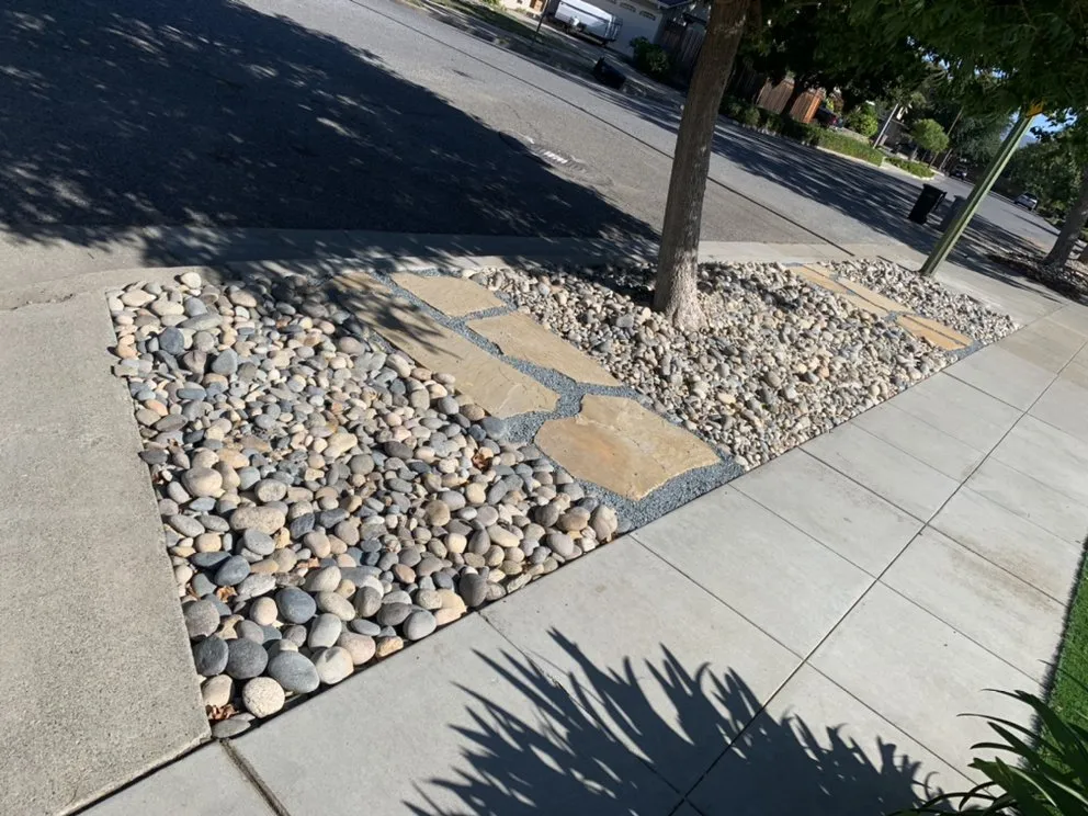 Local landscape design for year-round maintenance across Campbell, CA - Priority Landscaping