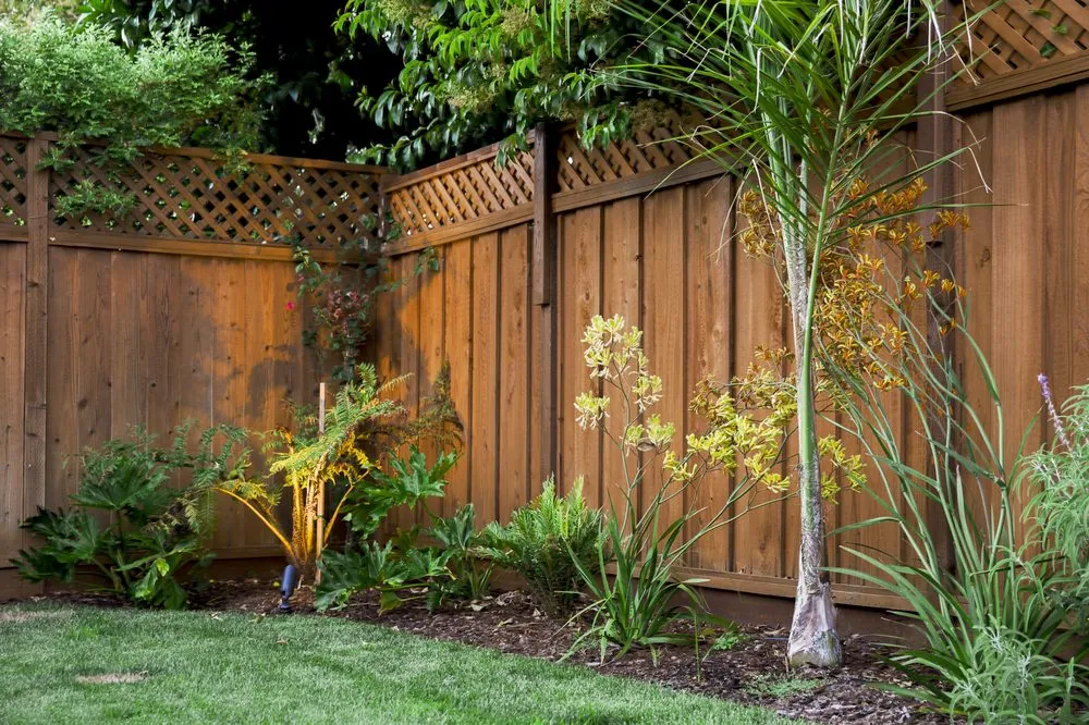 Trusted residential landscaping for outdoor upgrades across Campbell, CA - Priority Landscaping
