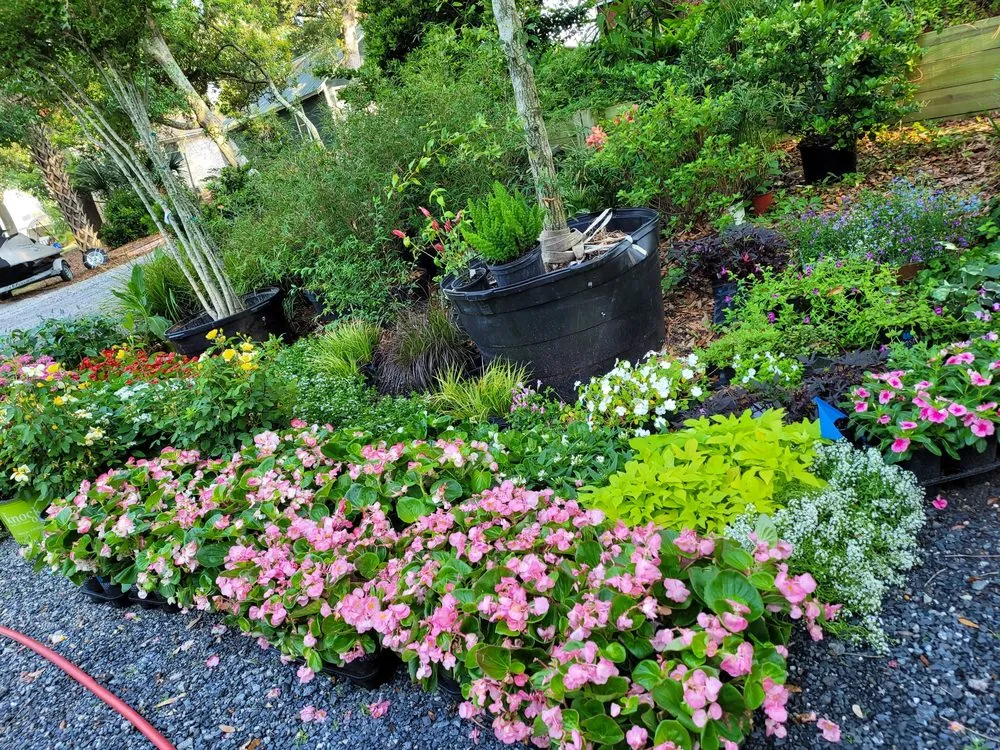 Local landscaping services for homes across Charleston, SC - Priority Landscaping