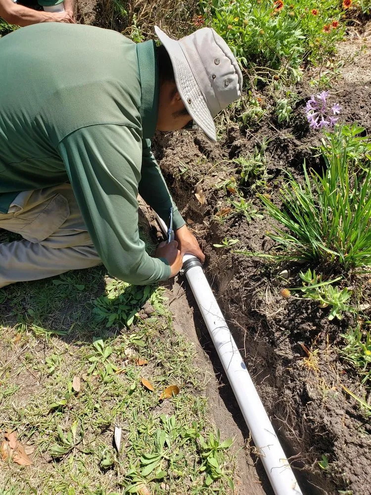 Professional lawn care service in Charleston, SC - Priority Landscaping