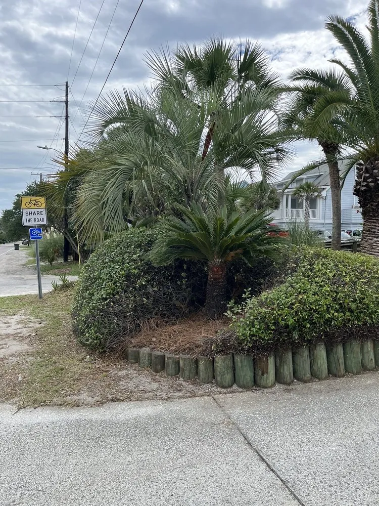 Top-rated outdoor landscaping with custom design in Charleston, SC by Priority Landscaping