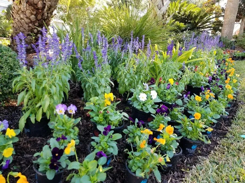 Top-rated lawn mowing service for homes across Charleston, SC - Priority Landscaping