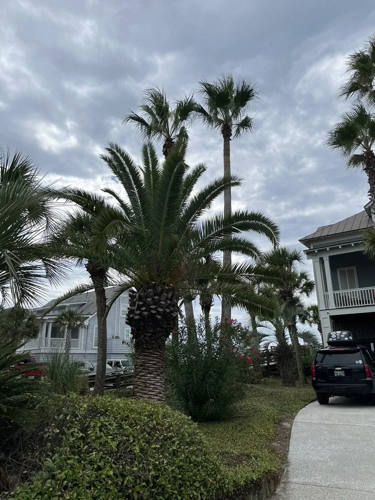 Expert landscape design for year-round maintenance across Charleston, SC - Priority Landscaping