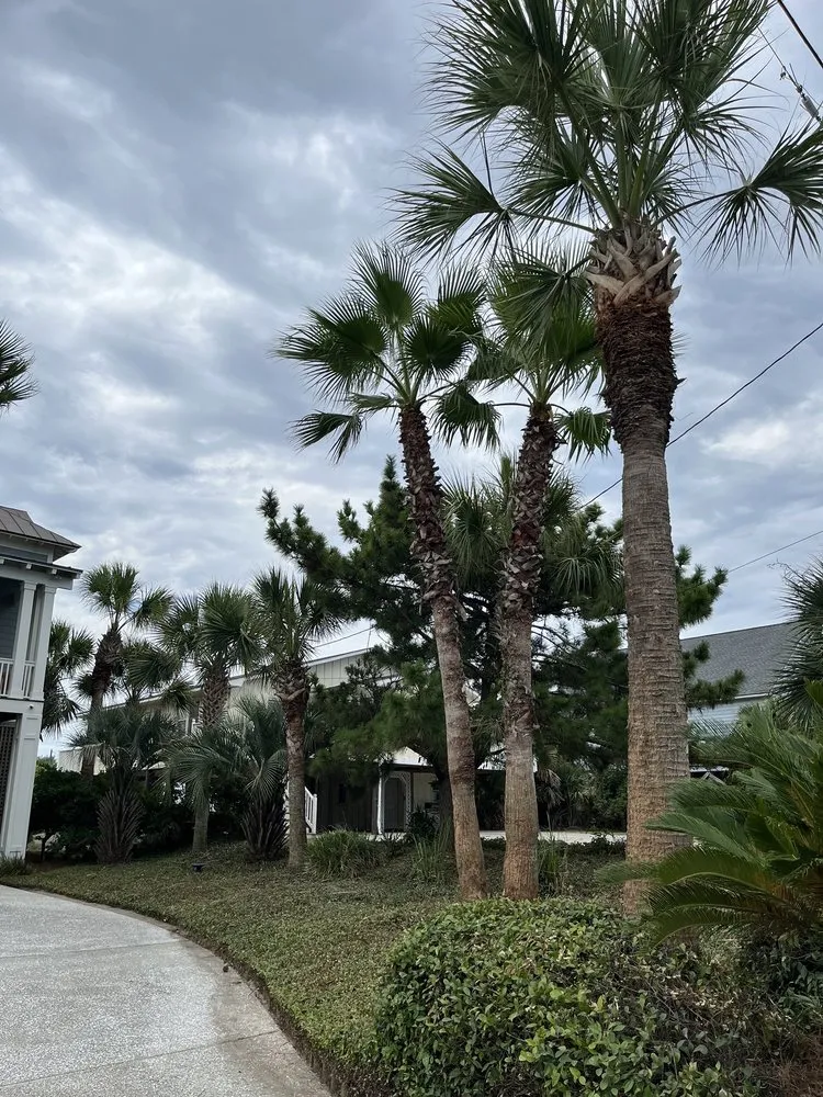 Custom residential landscaping for outdoor upgrades across Charleston, SC - Priority Landscaping