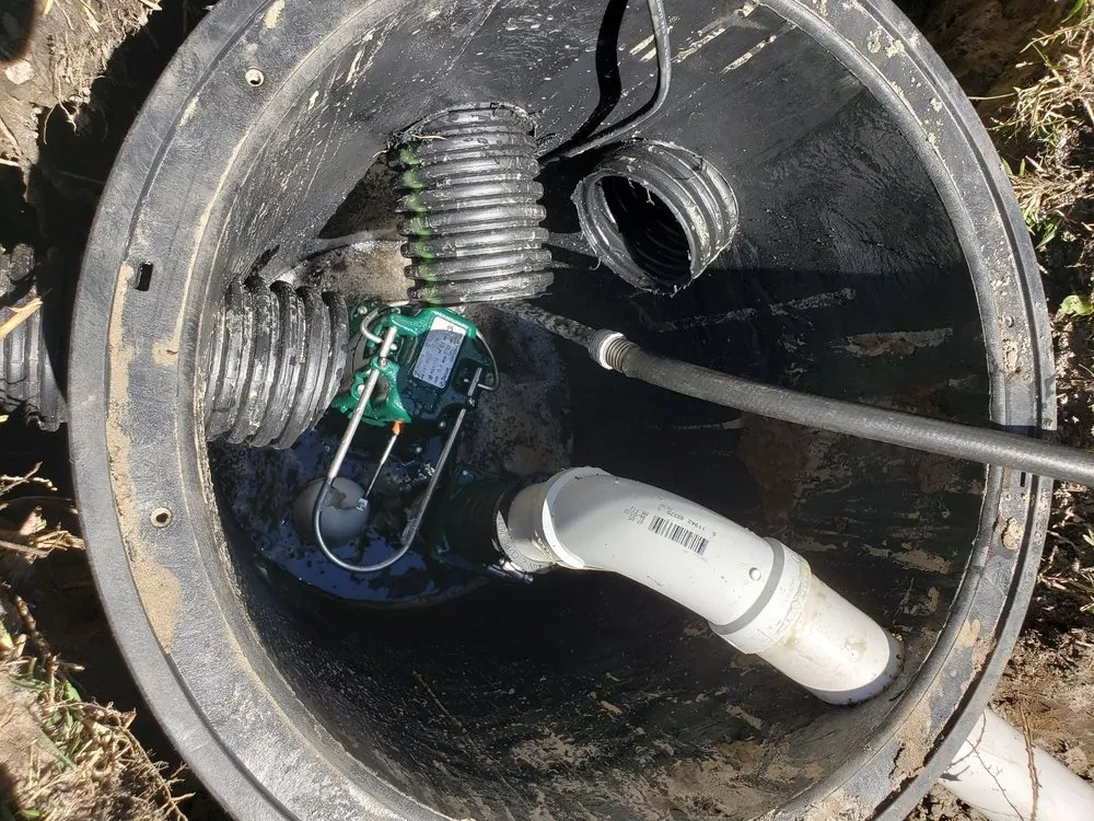 Top-rated landscaping services in Charleston, SC - Priority Landscaping