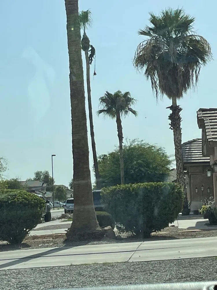 Trusted outdoor landscaping experts serving Mesa, AZ - Priority Landscaping