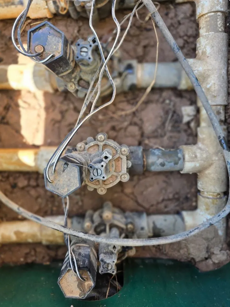 Professional garden landscaping for outdoor upgrades in Mesa, AZ by Priority Landscaping