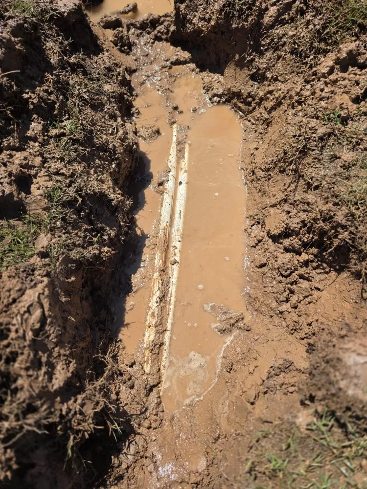 Top-rated outdoor landscaping in Mesa, AZ by Priority Landscaping