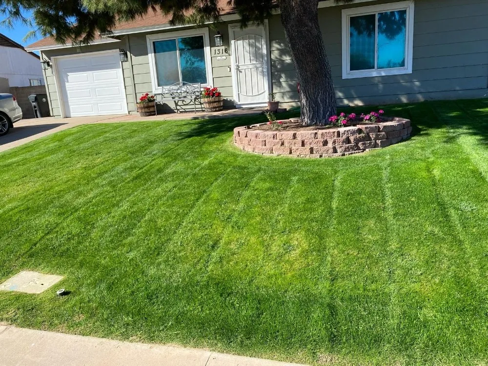 Custom landscape design with custom design in Mesa, AZ by Priority Landscaping