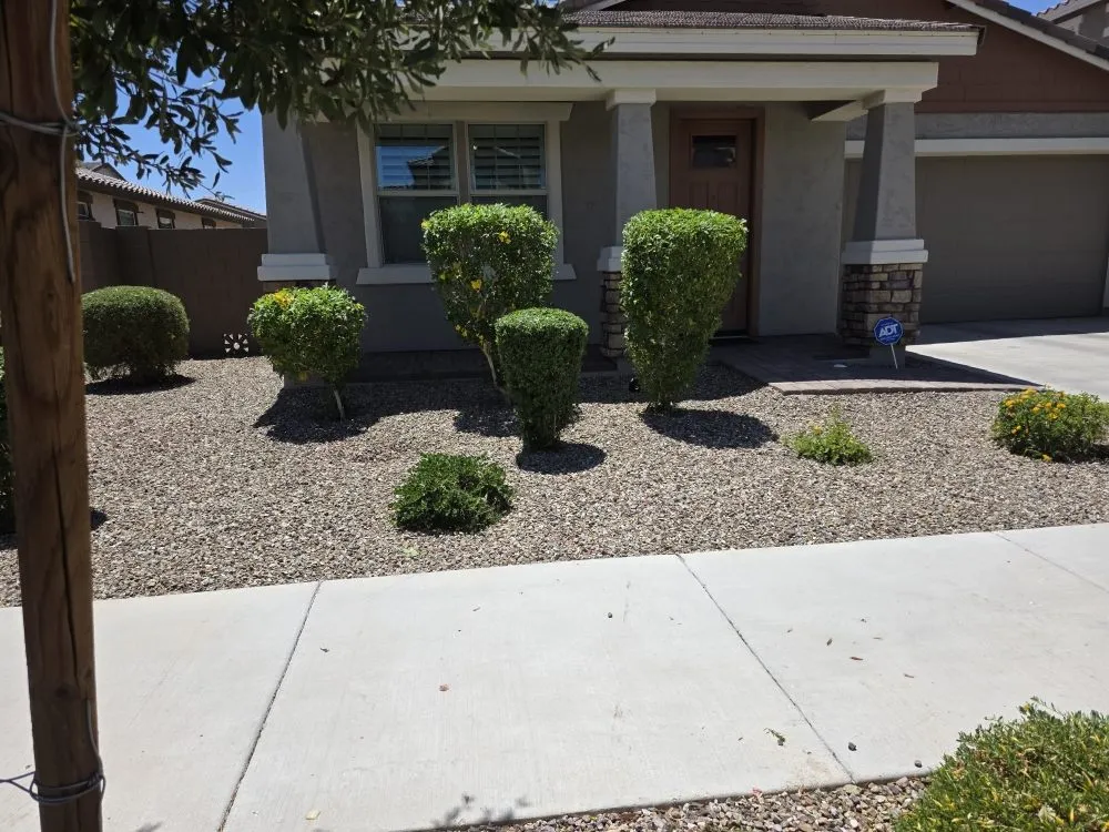 Top-rated landscape installation for homes in Mesa, AZ by Priority Landscaping