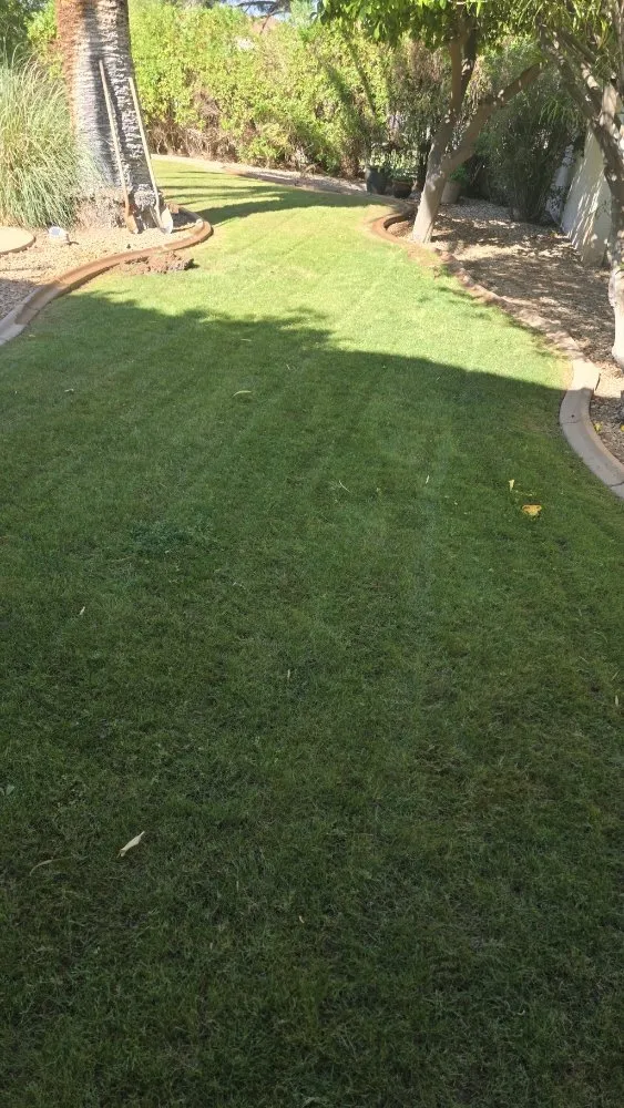 Expert landscape installation experts serving Mesa, AZ - Priority Landscaping