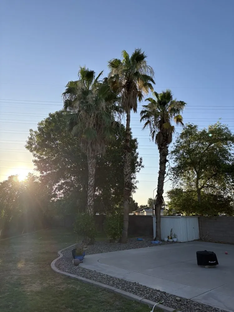 Local landscape design in Mesa, AZ by Priority Landscaping