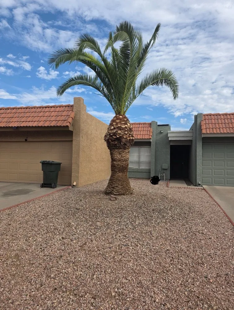 Top-rated landscape design in Mesa, AZ by Priority Landscaping