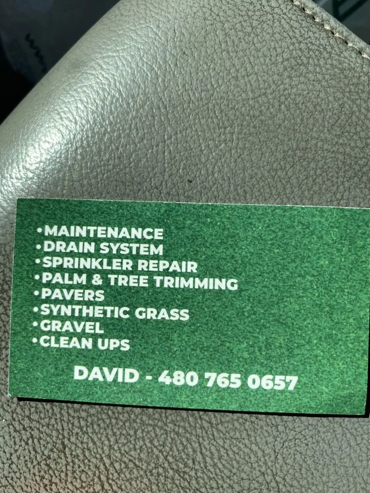 Local yard cleanup service for homes in Mesa, AZ by Priority Landscaping