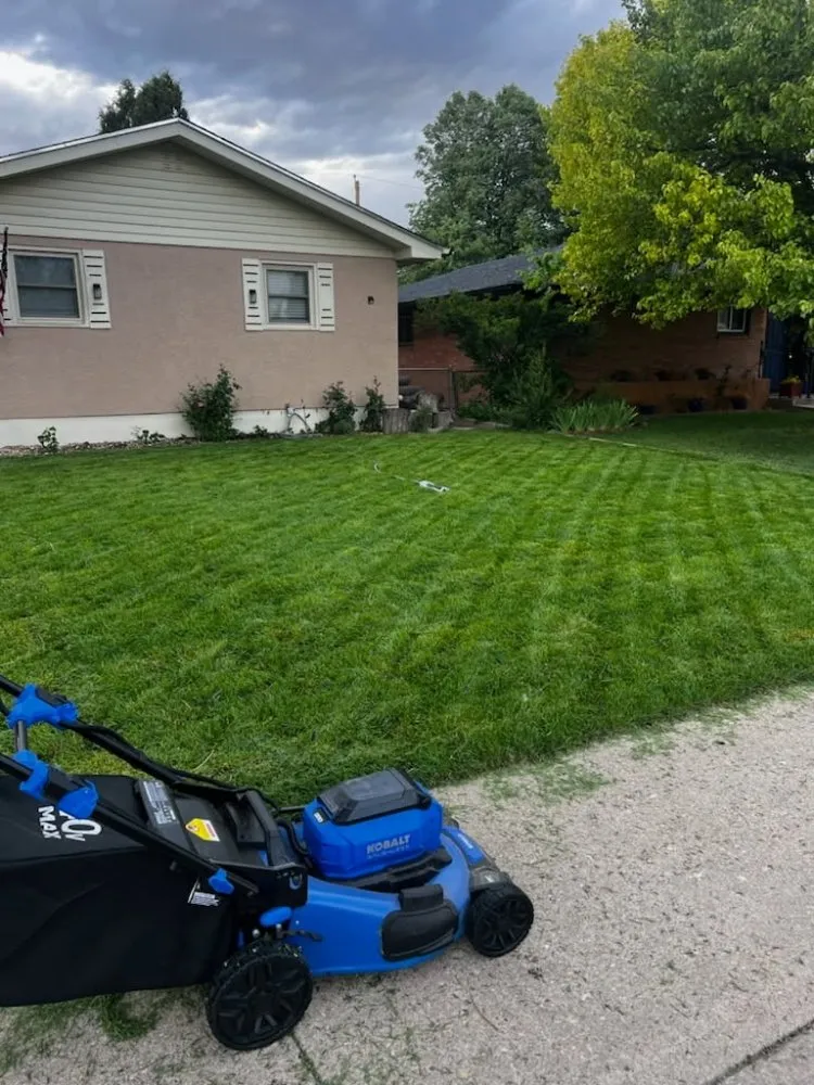 Trusted yard cleanup service in Pueblo, CO - Priority Landscaping