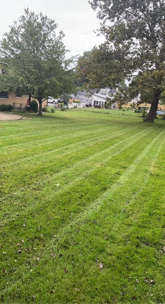 Reliable yard cleanup service experts serving Cincinnati, OH - Priority Lawn and Landscape