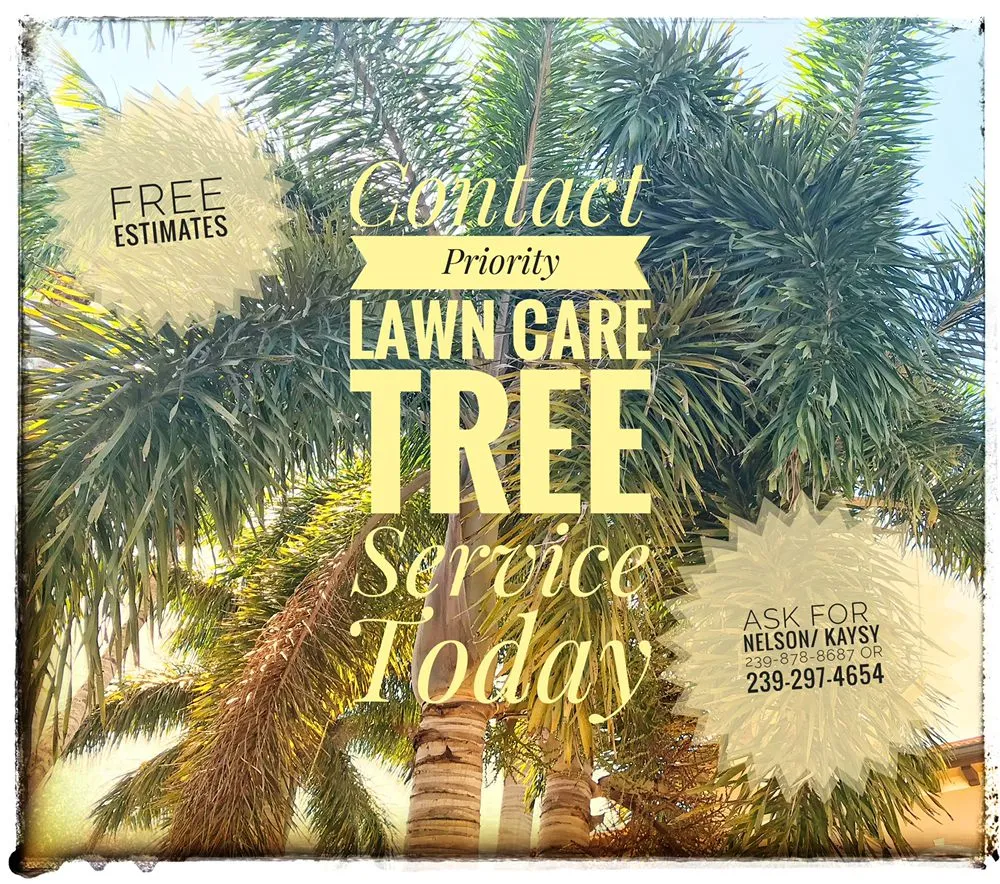 Expert yard cleanup service in Cape Coral, FL - Priority Lawn Care & Tree Service