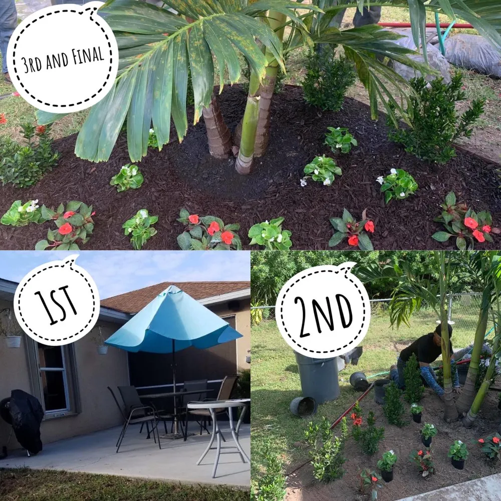 Affordable yard cleanup service for residential properties in Cape Coral, FL by Priority Lawn Care & Tree Service