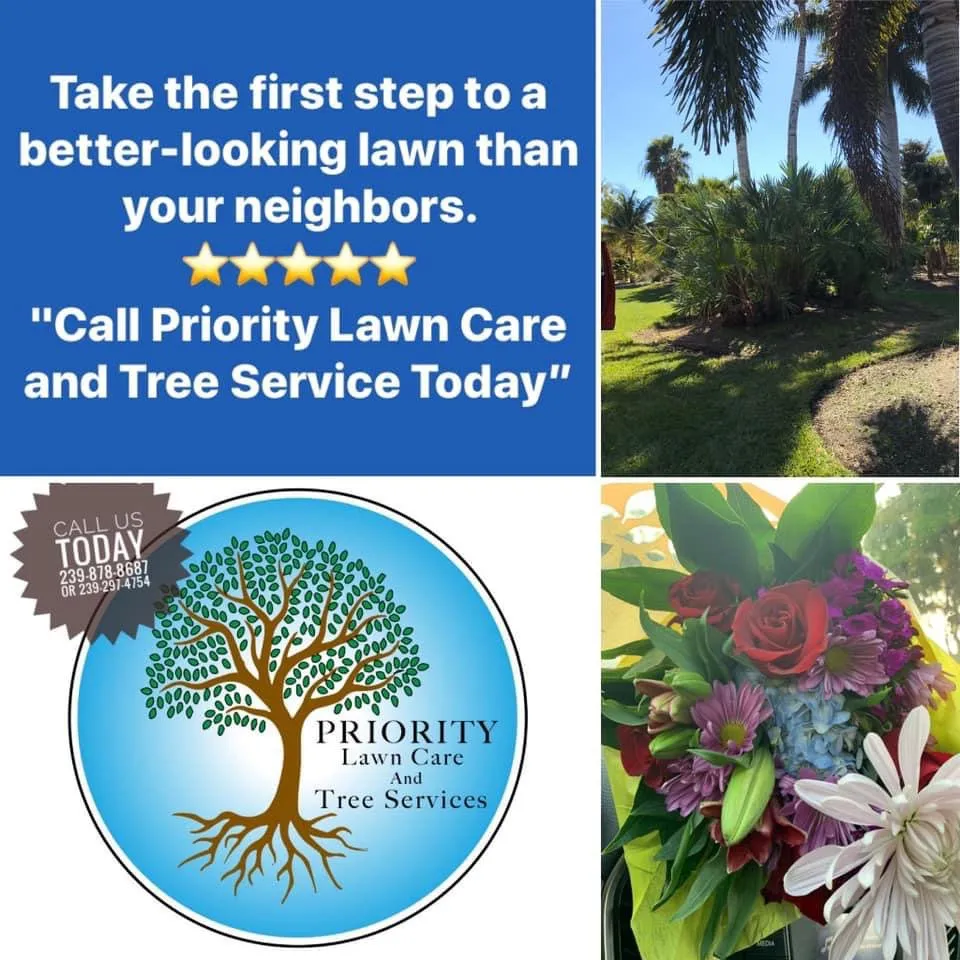 Affordable yard maintenance in Cape Coral, FL - Priority Lawn Care & Tree Service