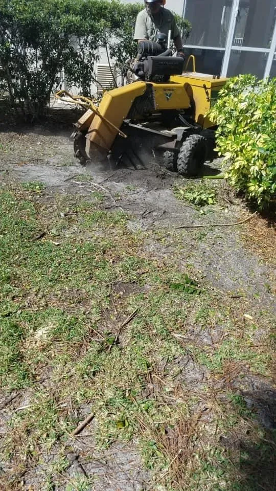 Trusted lawn care service in Cape Coral, FL by Priority Lawn Care & Tree Service