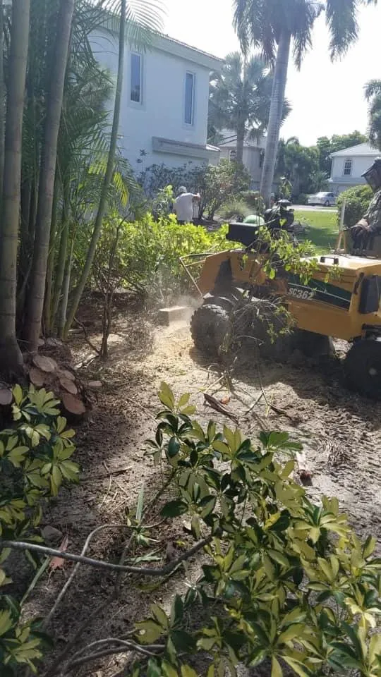 Reliable landscape design in Cape Coral, FL - Priority Lawn Care & Tree Service