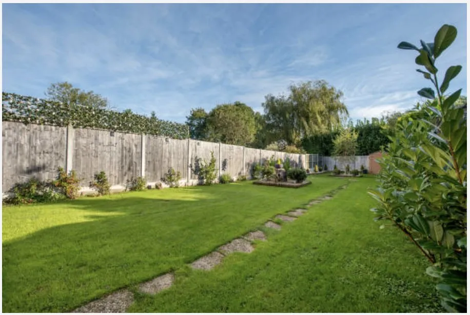 Top-rated yard cleanup service in Chesapeake, VA by Priority Lawn Care