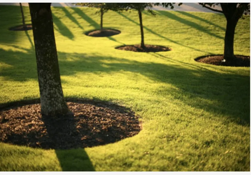 Expert residential landscaping in Chesapeake, VA - Priority Lawn Care