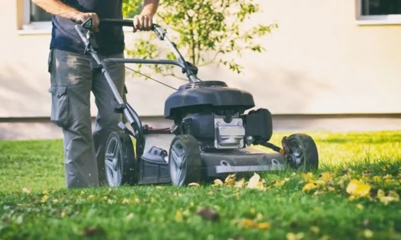 Trusted yard cleanup service for outdoor upgrades across Portsmouth, VA - Priority Lawn Care