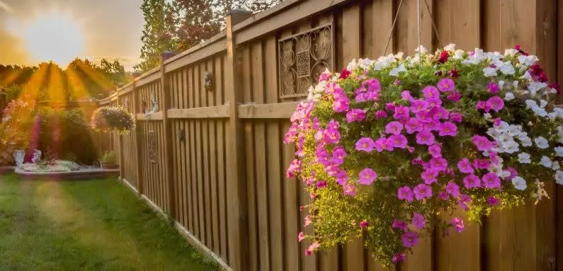 Trusted yard maintenance in Portsmouth, VA - Priority Lawn Care