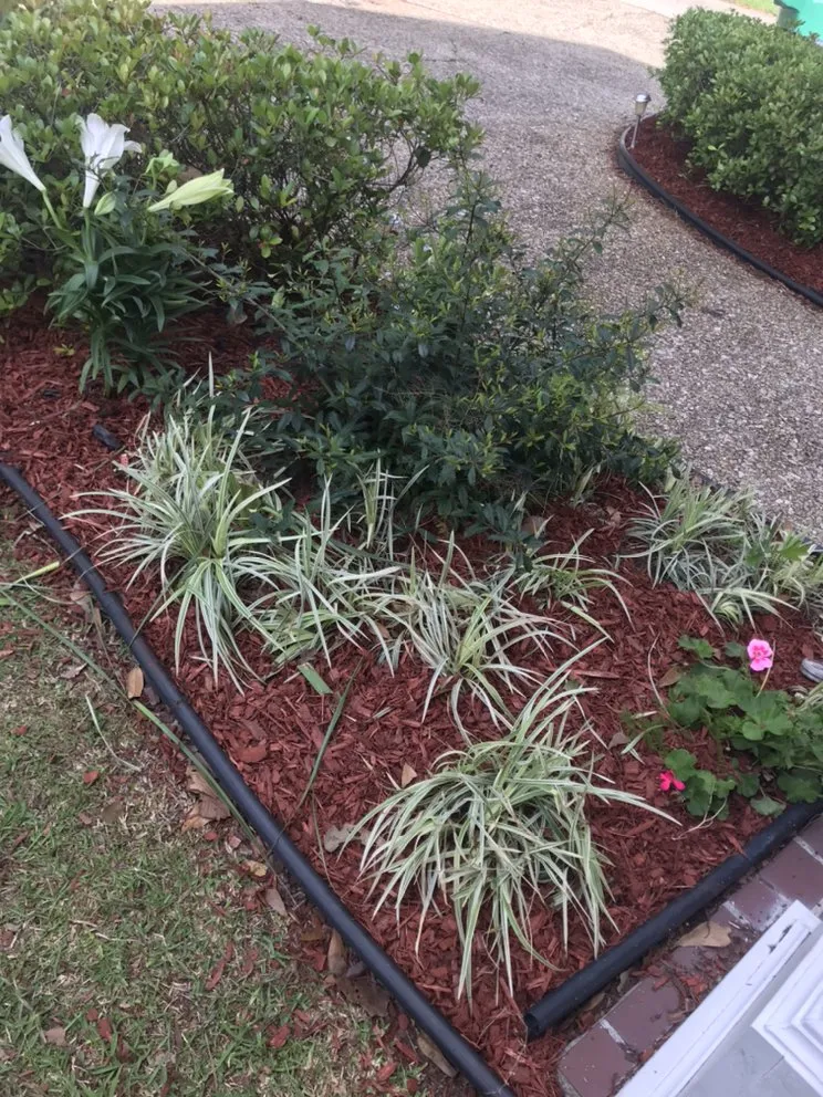 Expert yard cleanup service in Metairie, LA - Priority Lawncare
