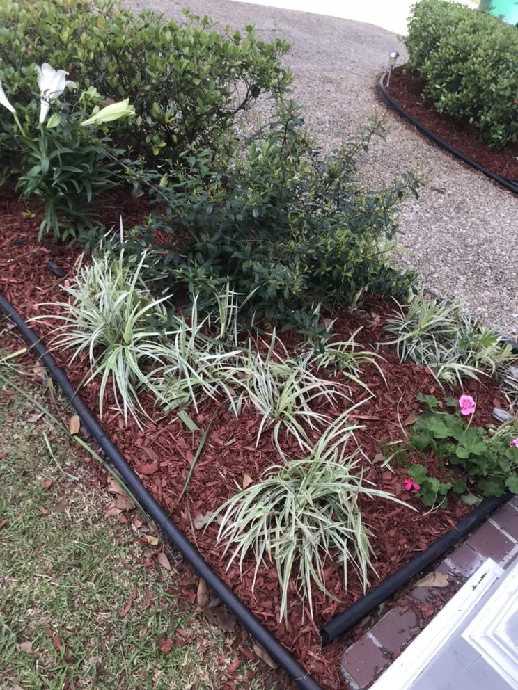 Custom outdoor landscaping with custom design in Metairie, LA by Priority Lawncare